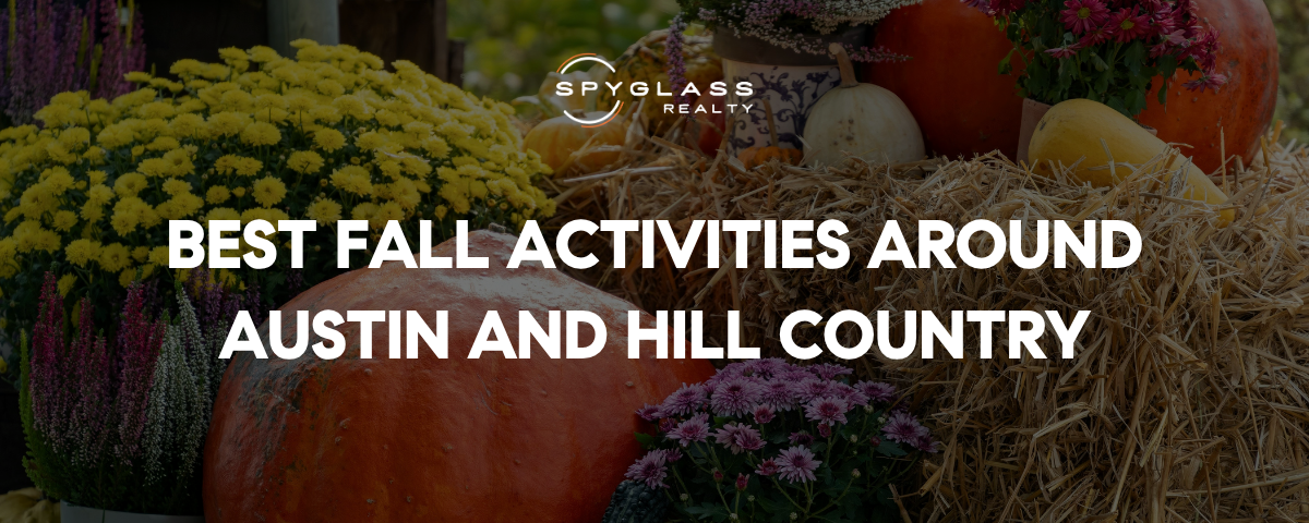 Pumpkin Patches in Austin & Fall Festivals