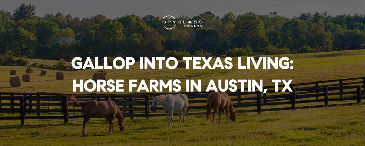 Horse Farms in Austin Texas: An Equestrian Guide