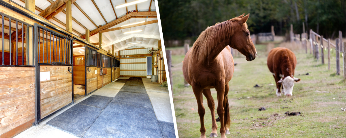 a barn and an image of horses in a farm