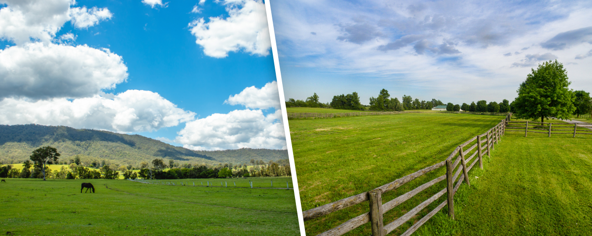 horse ranch in austin