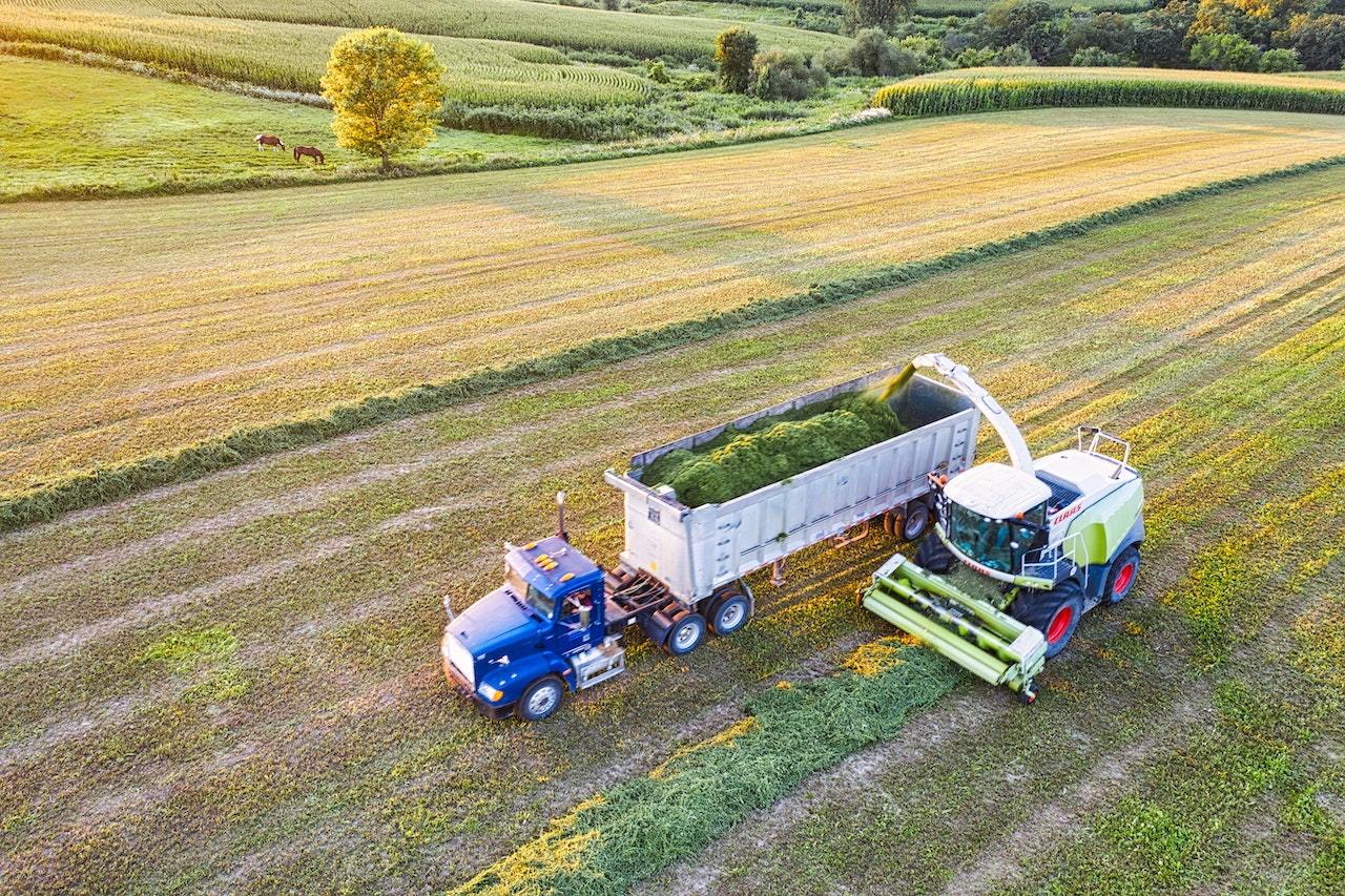 Agricultural Exemption in Texas
