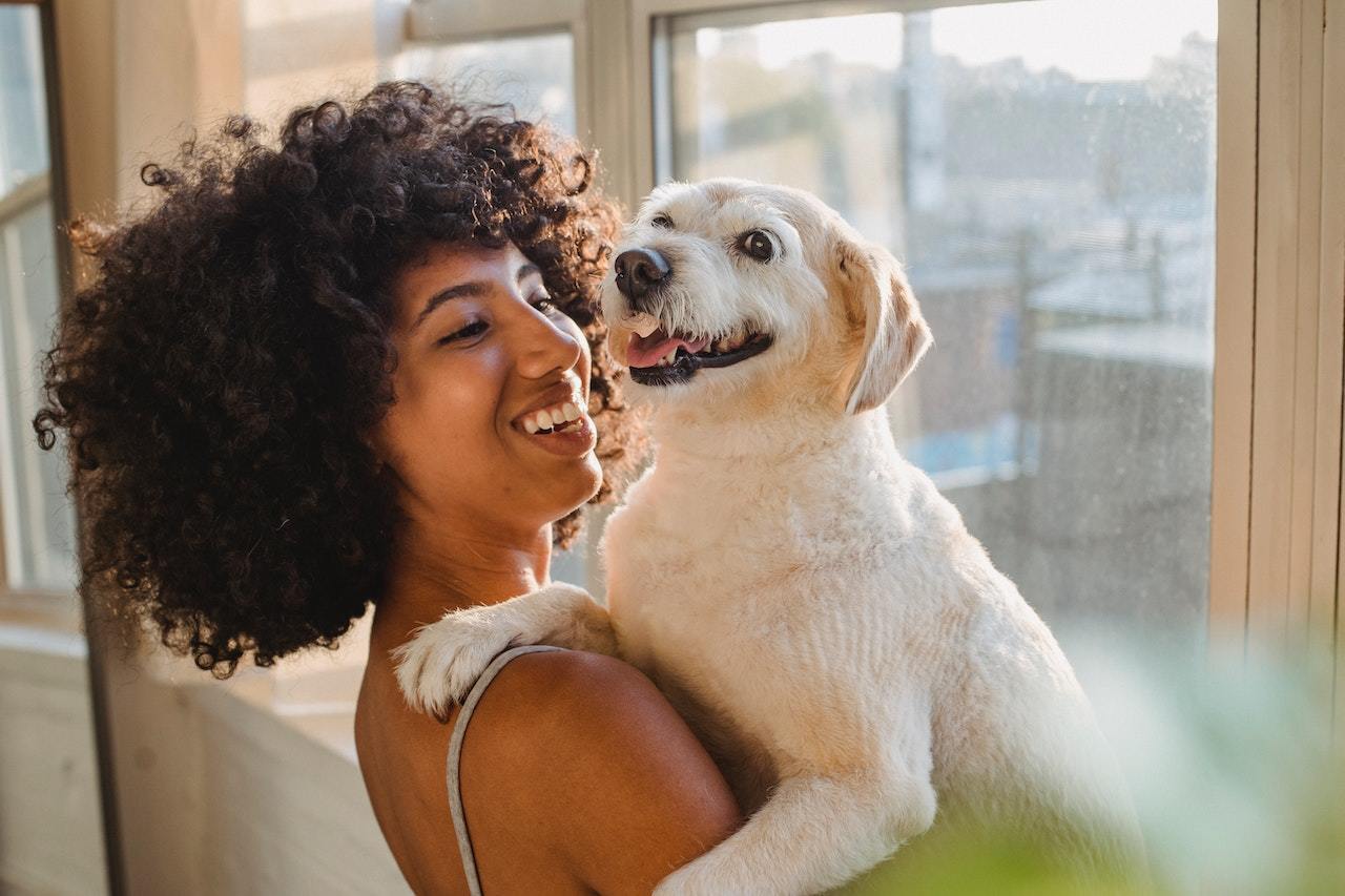 Animal Care Centers and Vets in Austin