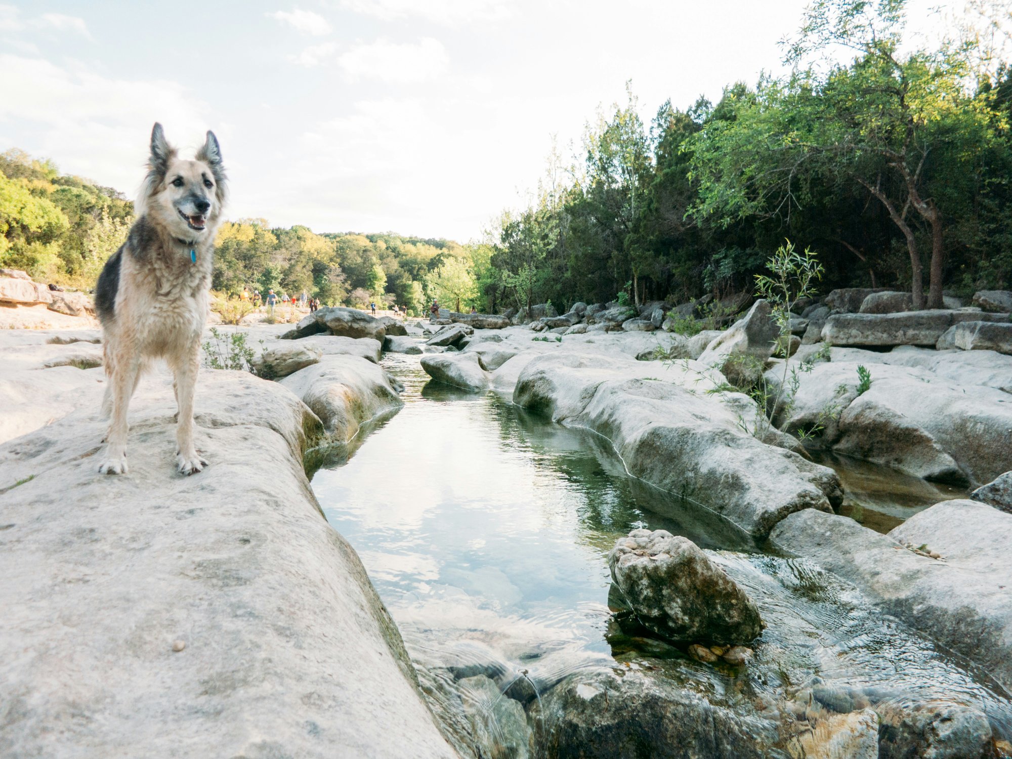 barton creek greenbelt in austin texas