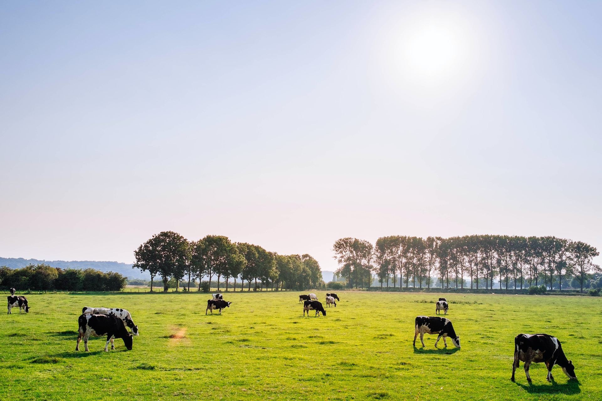 4 Reasons to Invest in Bastrop County Land (Latest Developments)