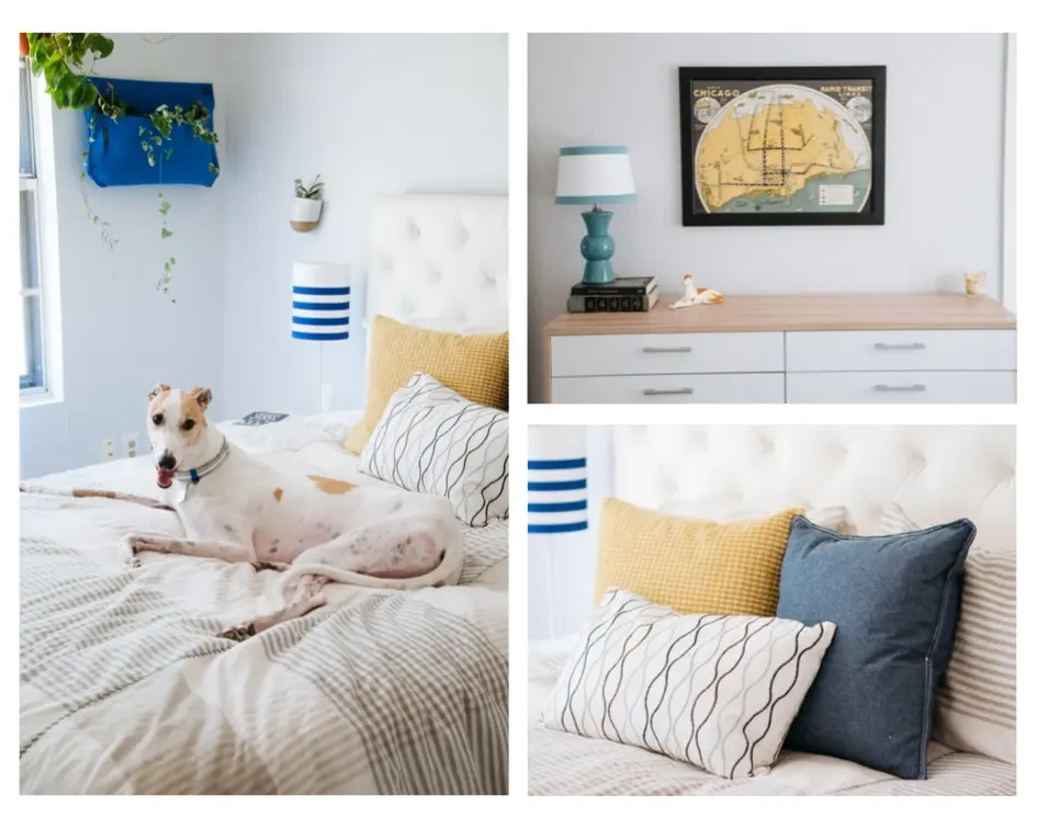 September Newsletter: Exciting Changes at Funky Homes of Austin