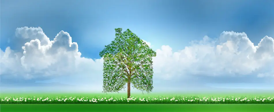 Trends, Materials and Practices in Sustainable Building