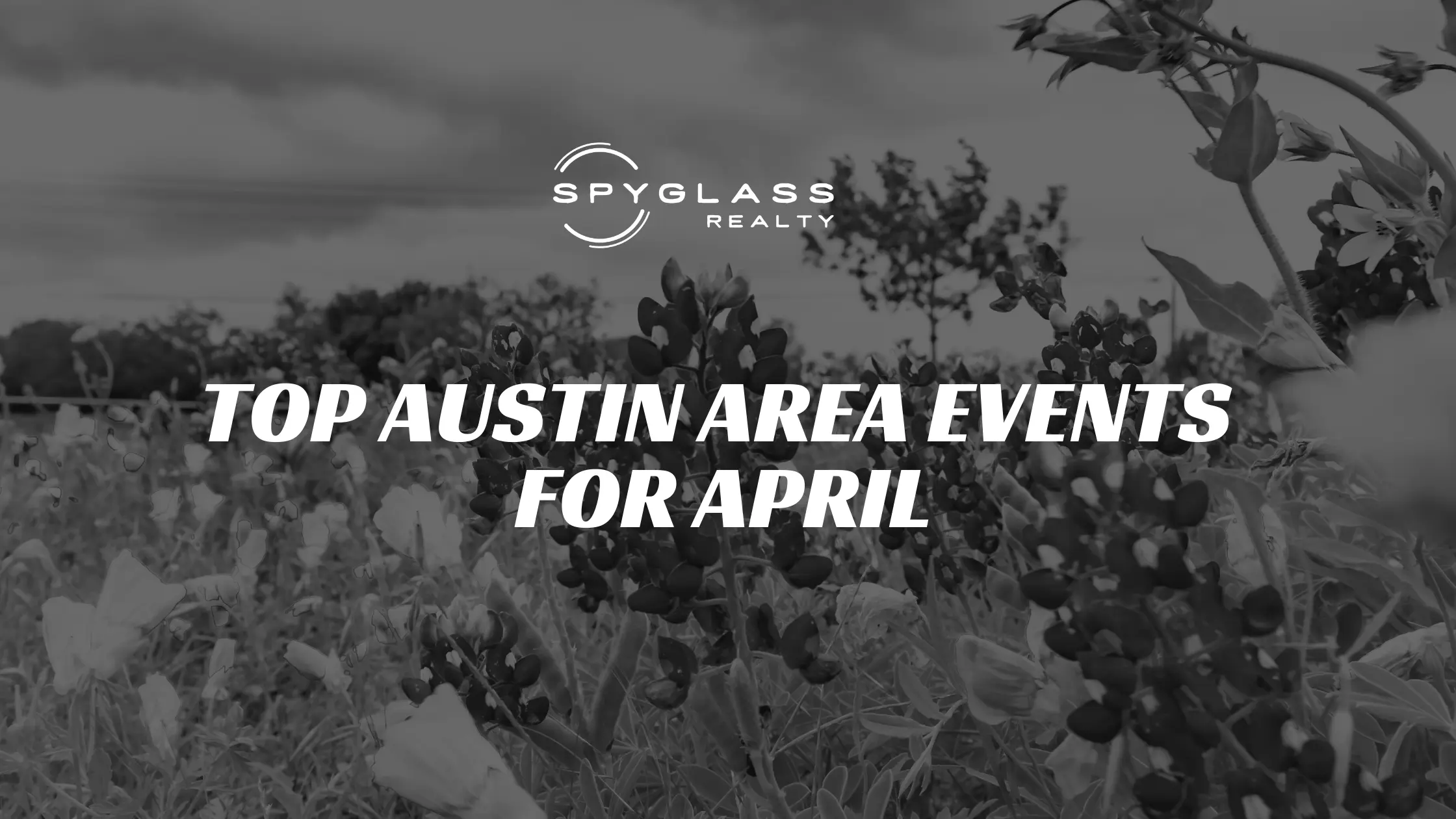 Top Austin Area Events for April