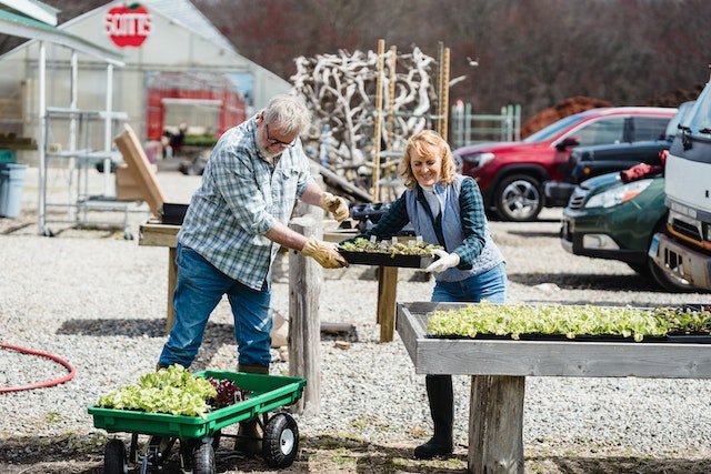 a couple working together in a farmers market